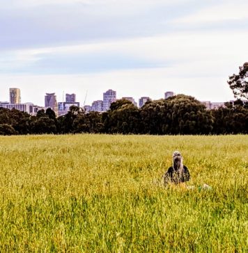 The Parks Of North Melbourne, A Tour.