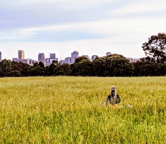 The Parks Of North Melbourne, A Tour.