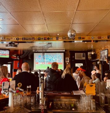 The Heart of a Fox: The Fox Hotel